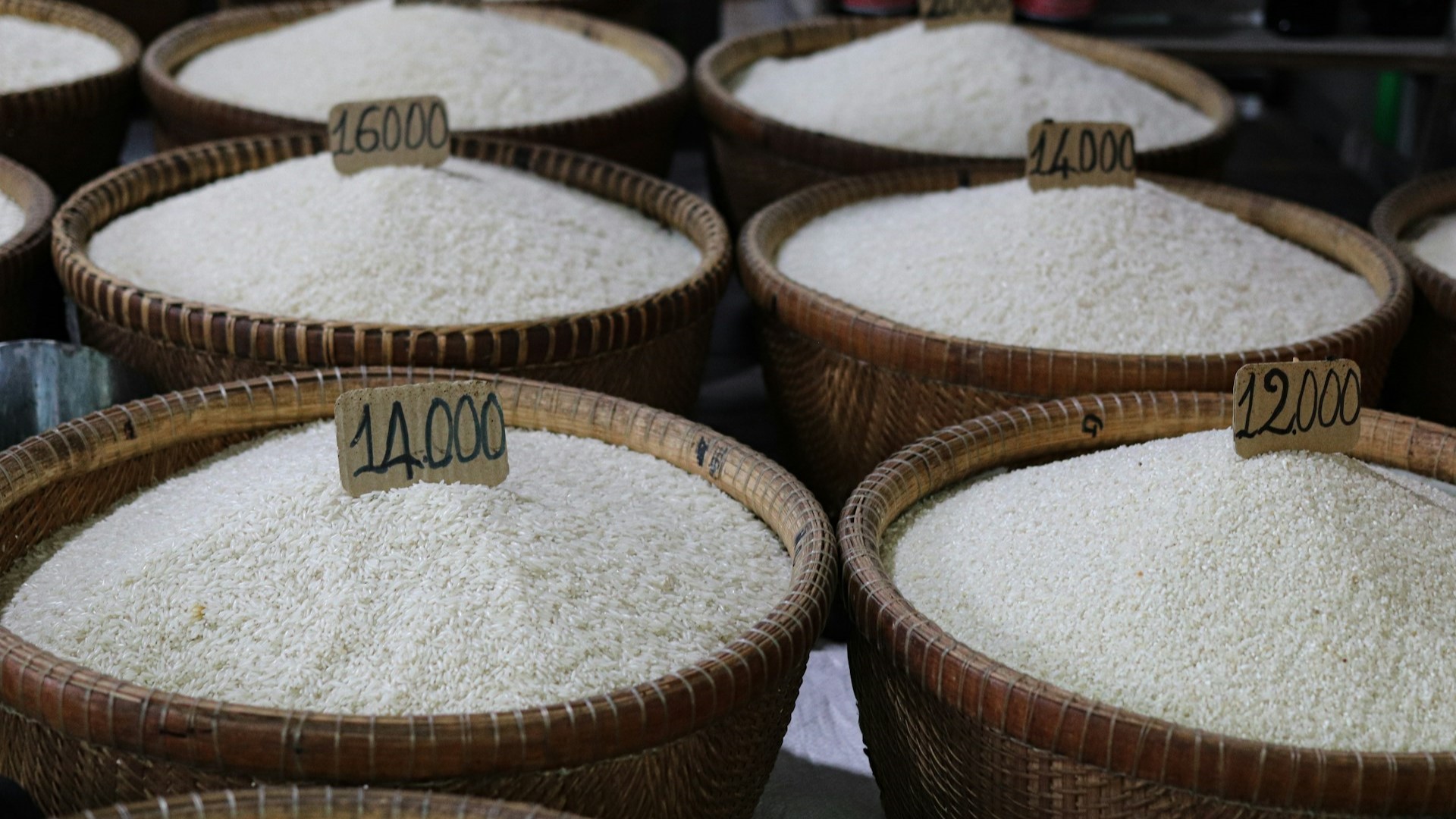 hoe snel bederft rijst